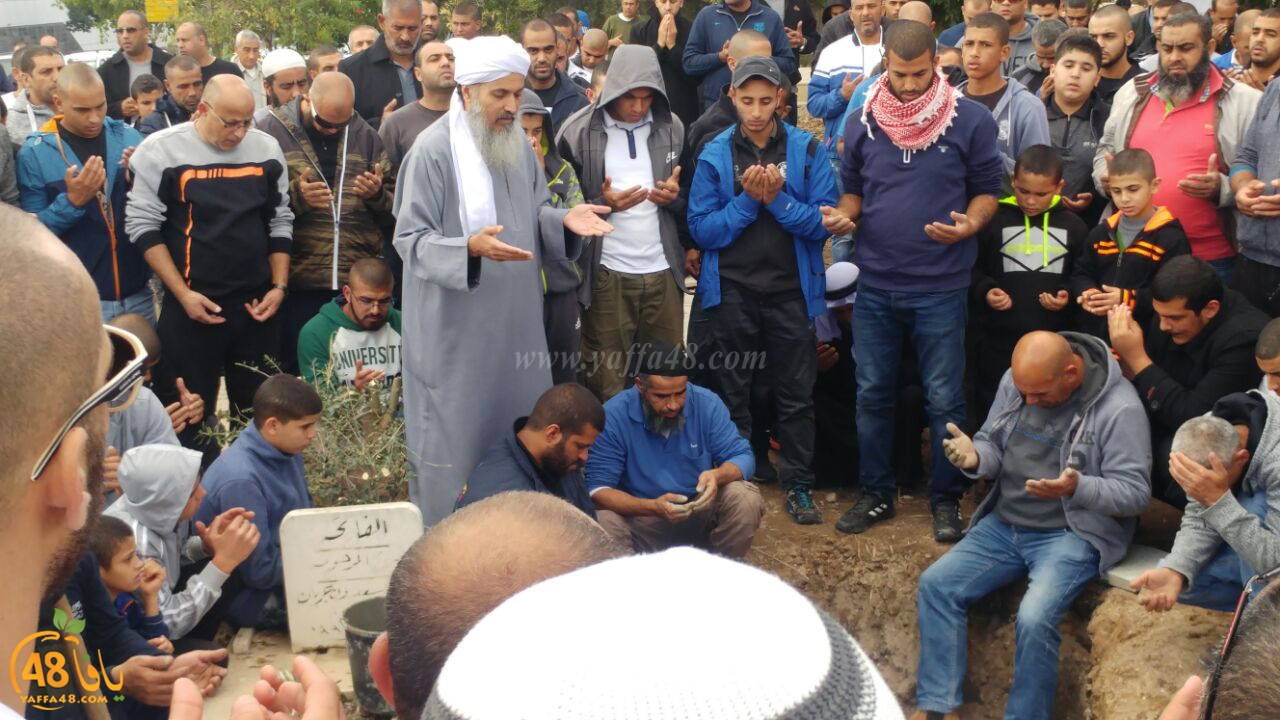 tashye3 abo kashef (10).jpg